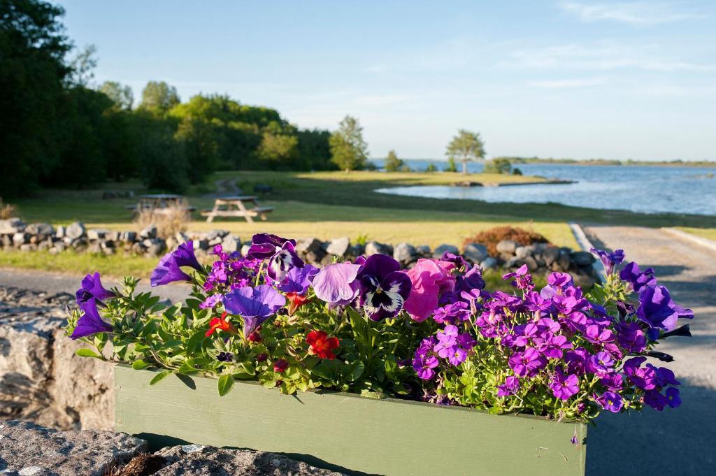 The Waterfront House Country Home Oughterard Luaran gambar
